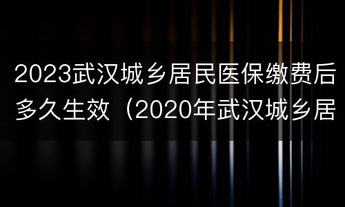 2023武汉城乡居民医保缴费后多久生效（2020年武汉城乡居民医疗保险缴费时间）