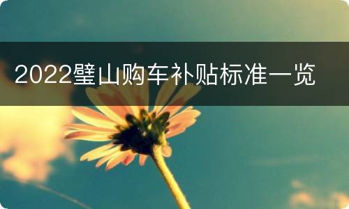 2022璧山购车补贴标准一览