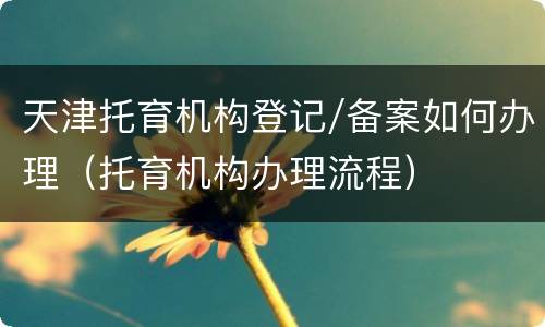 天津托育机构登记/备案如何办理（托育机构办理流程）