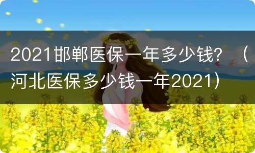 2021邯郸医保一年多少钱？（河北医保多少钱一年2021）