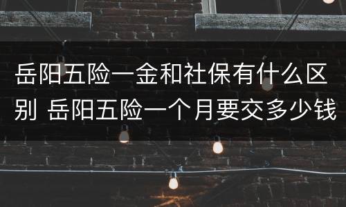 岳阳五险一金和社保有什么区别 岳阳五险一个月要交多少钱