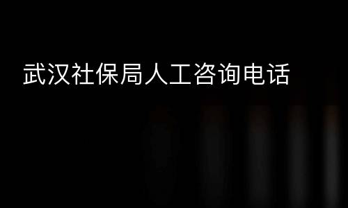  武汉社保局人工咨询电话