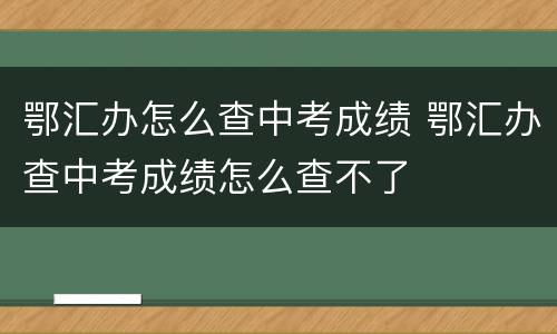 鄂汇办怎么查中考成绩 鄂汇办查中考成绩怎么查不了