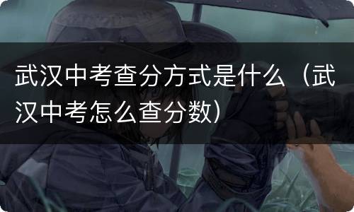 武汉中考查分方式是什么（武汉中考怎么查分数）