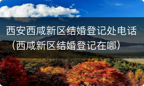 西安西咸新区结婚登记处电话（西咸新区结婚登记在哪）