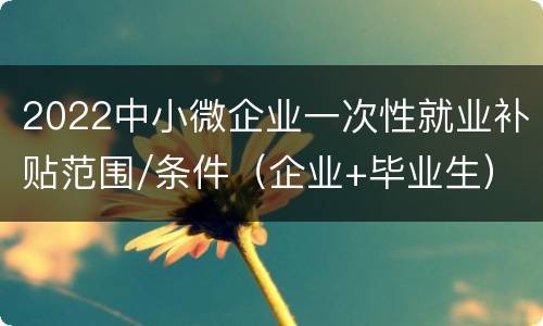 2022中小微企业一次性就业补贴范围/条件（企业+毕业生）