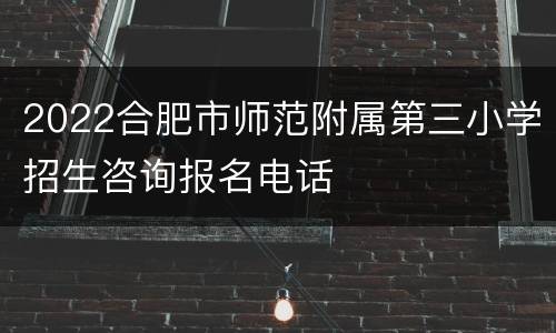 2022合肥市师范附属第三小学招生咨询报名电话