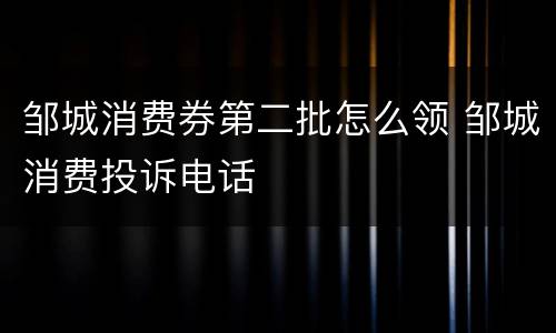 邹城消费券第二批怎么领 邹城消费投诉电话