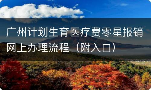 广州计划生育医疗费零星报销网上办理流程（附入口）