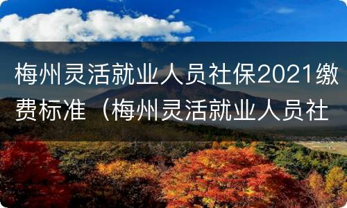 梅州灵活就业人员社保2021缴费标准（梅州灵活就业人员社保2021缴费标准表）
