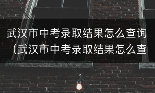 武汉市中考录取结果怎么查询（武汉市中考录取结果怎么查询的）