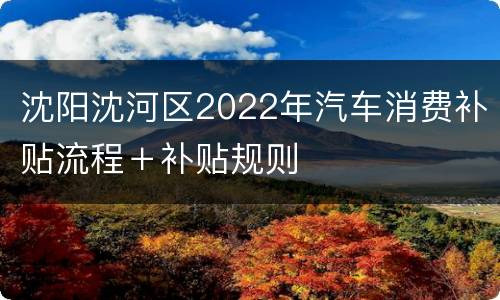 沈阳沈河区2022年汽车消费补贴流程＋补贴规则
