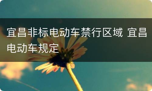 宜昌非标电动车禁行区域 宜昌电动车规定