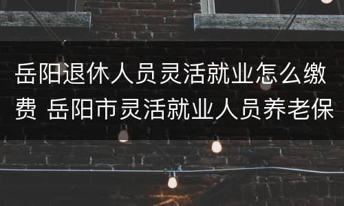 岳阳退休人员灵活就业怎么缴费 岳阳市灵活就业人员养老保险政策