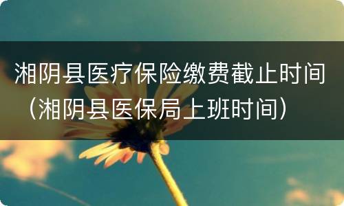 湘阴县医疗保险缴费截止时间（湘阴县医保局上班时间）