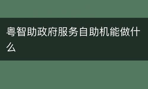 粤智助政府服务自助机能做什么