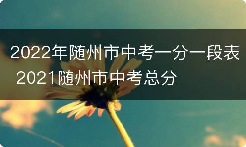 2022年随州市中考一分一段表 2021随州市中考总分