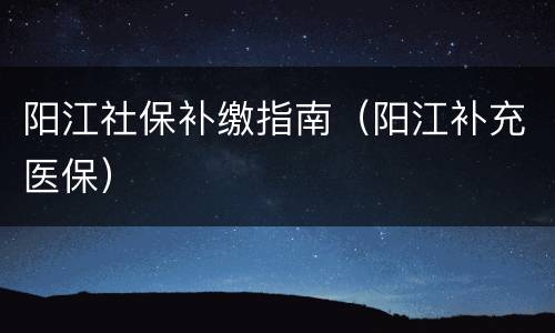 阳江社保补缴指南（阳江补充医保）