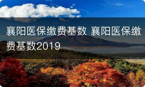 襄阳医保缴费基数 襄阳医保缴费基数2019