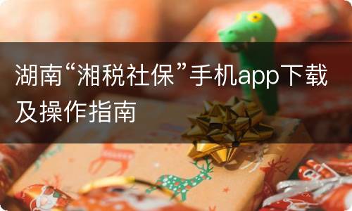 湖南“湘税社保”手机app下载及操作指南