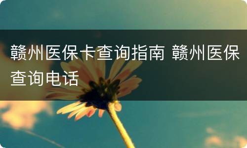 赣州医保卡查询指南 赣州医保查询电话