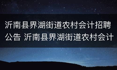 沂南县界湖街道农村会计招聘公告 沂南县界湖街道农村会计招聘公告网
