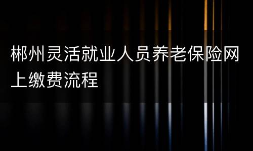 郴州灵活就业人员养老保险网上缴费流程