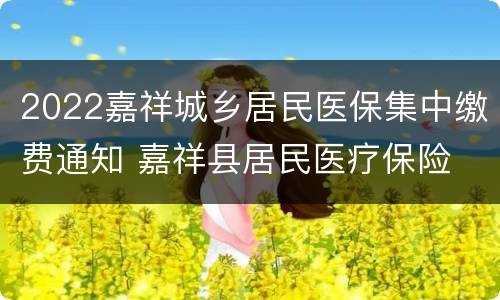 2022嘉祥城乡居民医保集中缴费通知 嘉祥县居民医疗保险