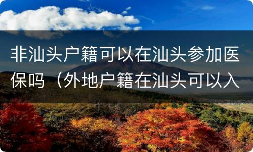 非汕头户籍可以在汕头参加医保吗（外地户籍在汕头可以入医保吗）