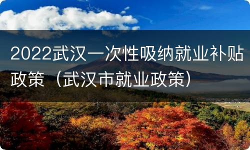 2022武汉一次性吸纳就业补贴政策（武汉市就业政策）