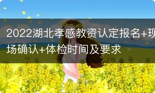 2022湖北孝感教资认定报名+现场确认+体检时间及要求