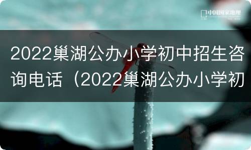 2022巢湖公办小学初中招生咨询电话（2022巢湖公办小学初中招生咨询电话号码）