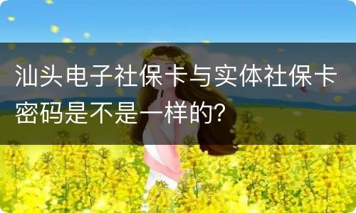 汕头电子社保卡与实体社保卡密码是不是一样的？