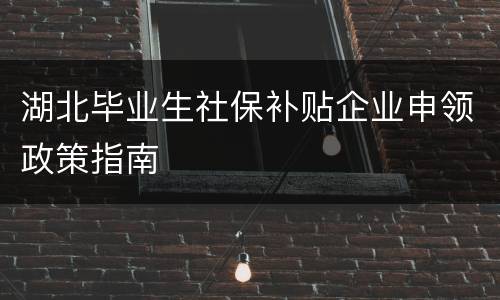 湖北毕业生社保补贴企业申领政策指南
