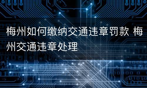 梅州如何缴纳交通违章罚款 梅州交通违章处理