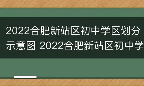 2022合肥新站区初中学区划分示意图 2022合肥新站区初中学区划分示意图图片