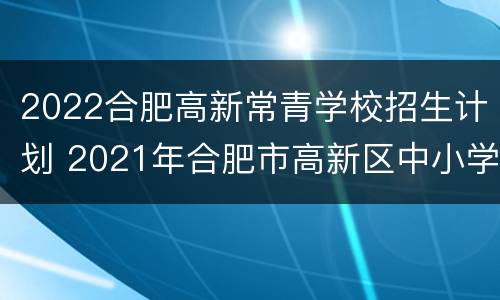 2022合肥高新常青学校招生计划 2021年合肥市高新区中小学