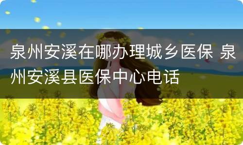泉州安溪在哪办理城乡医保 泉州安溪县医保中心电话