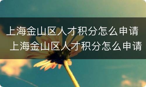 上海金山区人才积分怎么申请 上海金山区人才积分怎么申请摇号
