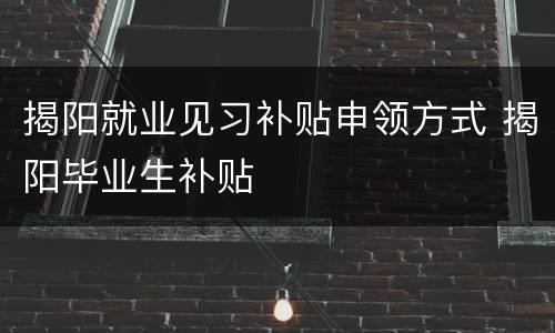 揭阳就业见习补贴申领方式 揭阳毕业生补贴