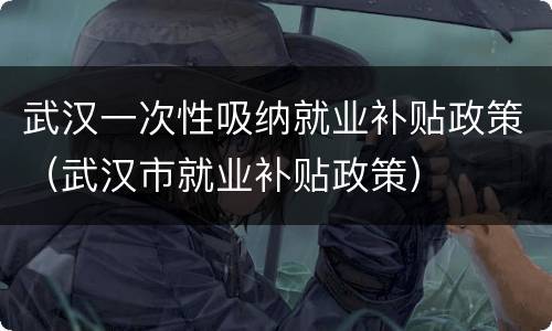 武汉一次性吸纳就业补贴政策（武汉市就业补贴政策）