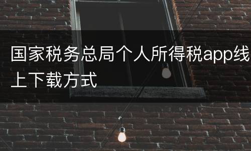 国家税务总局个人所得税app线上下载方式