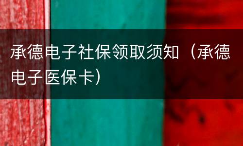 承德电子社保领取须知（承德电子医保卡）