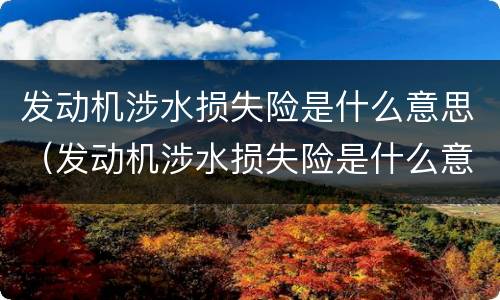 发动机涉水损失险是什么意思（发动机涉水损失险是什么意思呀）