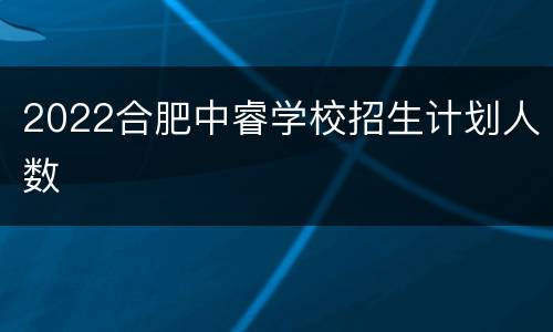 2022合肥中睿学校招生计划人数