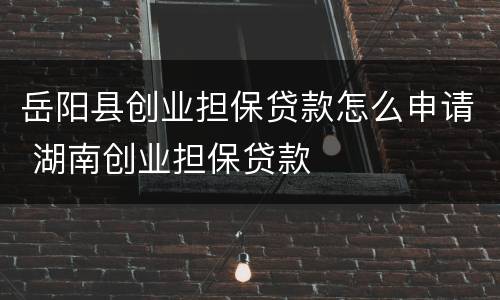 岳阳县创业担保贷款怎么申请 湖南创业担保贷款