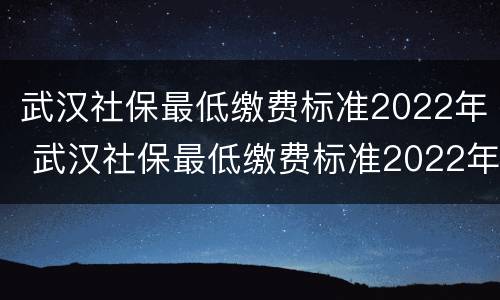 武汉社保最低缴费标准2022年 武汉社保最低缴费标准2022年表格