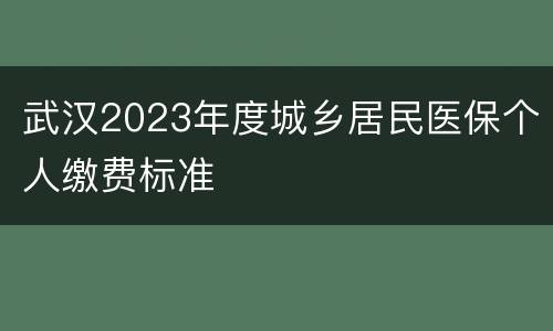 武汉2023年度城乡居民医保个人缴费标准