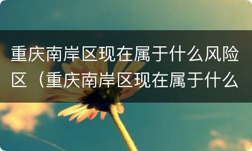 重庆南岸区现在属于什么风险区（重庆南岸区现在属于什么风险区呢）