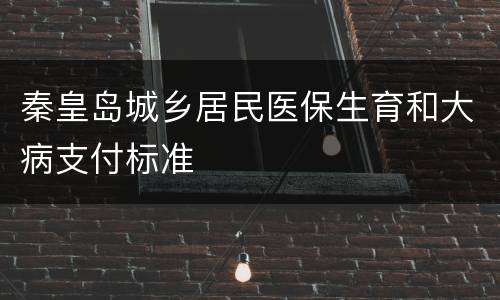 秦皇岛城乡居民医保生育和大病支付标准